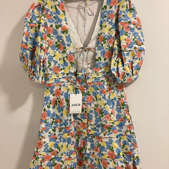 Amur AVIAN Dress Size 10 - Brand New w/tags - Picture 3 of 3